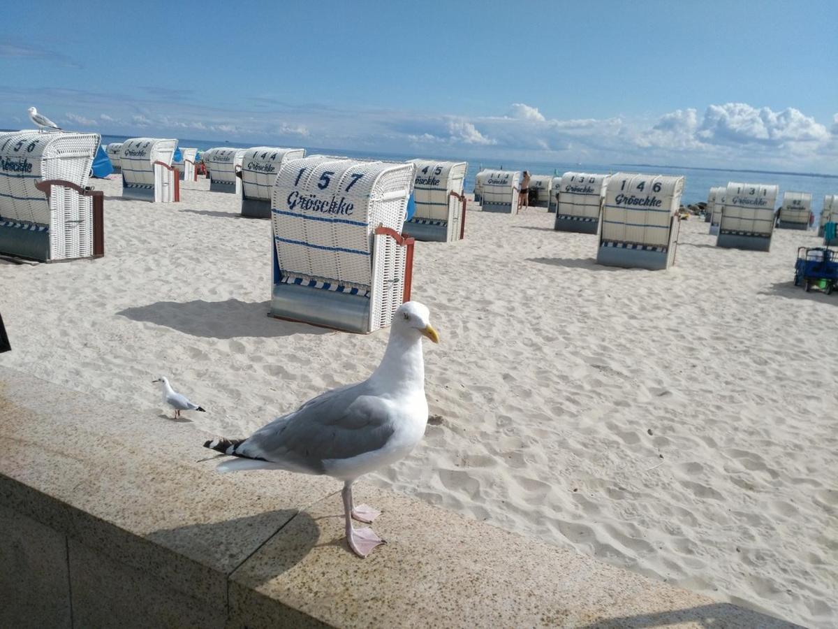 Ostsee Fewo By Wolf Grömitz Kültér fotó